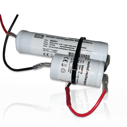 3/4000DHD  2+1 3.6V 4Ah with leads