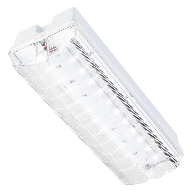 ELP AV-HO/230D High Output DALI Mains only bulkhead