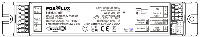 FXE06DL-300