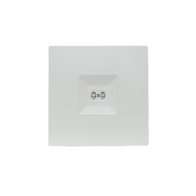 Luxbox LXD SURFACE 2 CELL 3 HOUR CORRIDOR MAINTAINED WIRELESS MESH LXDS-WM-2-3-C-M