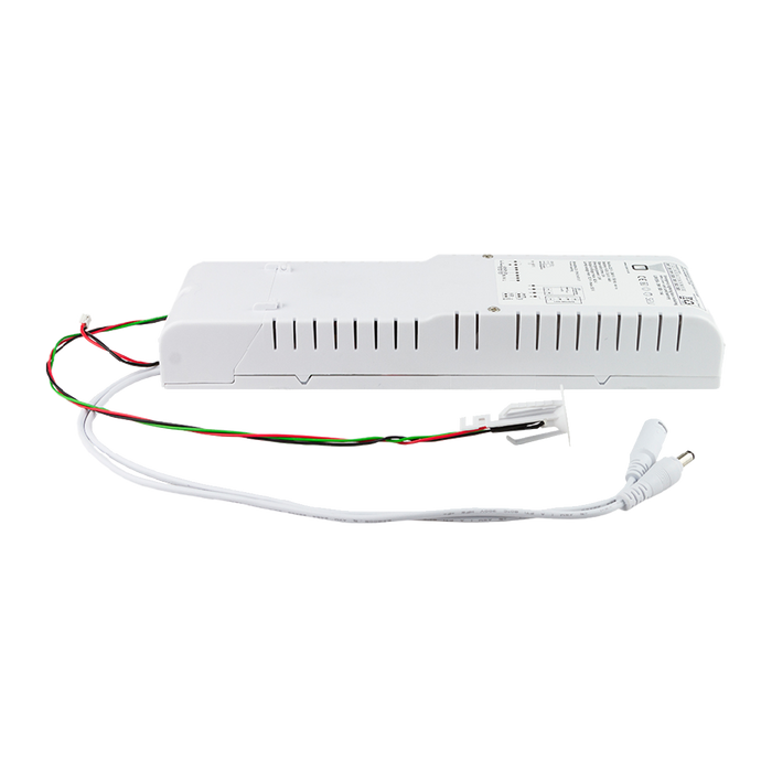 Luxbox LXR 3W 3HR LFP EMERGENCY REMOTE BOX - SELF TEST LXR-ST-55V-3W/3x1865/180