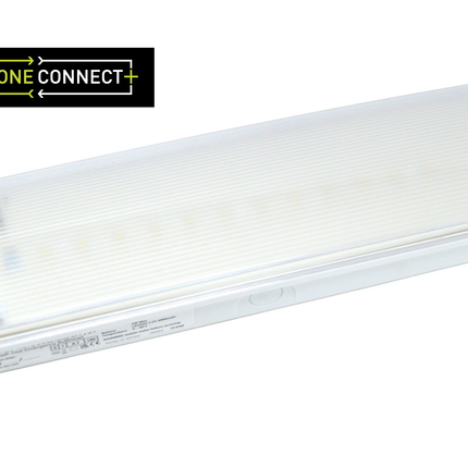 OLX-XBH/300/M3/LFP/DST  DALI /SELF TEST - IP65 300 Lumen Bulkhead