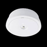 AC2/NM3/DALI/ST White surface/recessed mounted luminaire, self-contained DALI/Self-Test NM3 supplied with ‘Corridor’ and wide angle lens