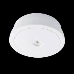 AC2/NM3/DALI/ST White surface/recessed mounted luminaire, self-contained DALI/Self-Test NM3 supplied with ‘Corridor’ and wide angle lens