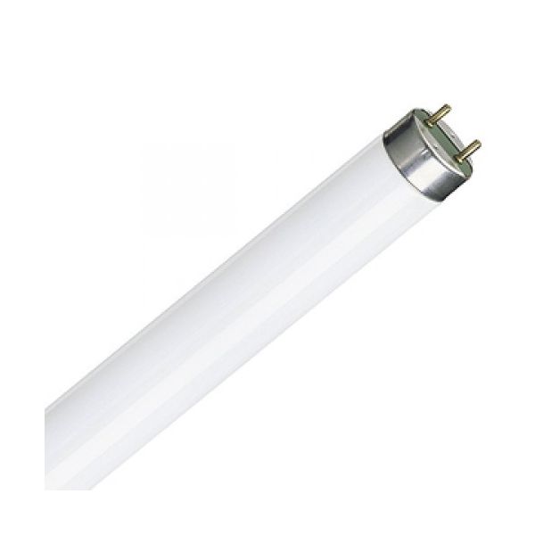 58W T8 Triphosphor Tube - 4000K, 1500mm
